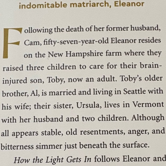 Good read! Great gift! “How the Light Gets In” by Joyce Maynard (her latest) - Picture 5 of 7
